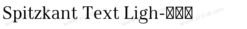 Spitzkant Text Ligh字体转换